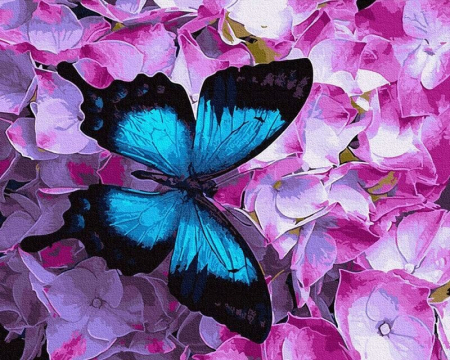 Pictura pe numere - Pictura pe numere - Fluture albastru pe flori, 40 x 50 cm