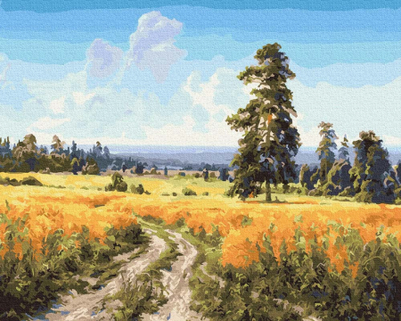 Pictura pe numere - Lan de secara, 40 x 50 cm [0]