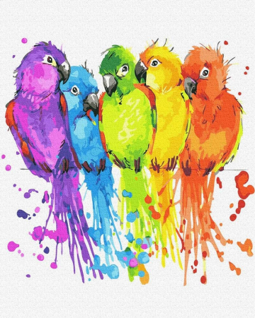 Pictura pe numere - Pictura pe numere – Papagali multicolori