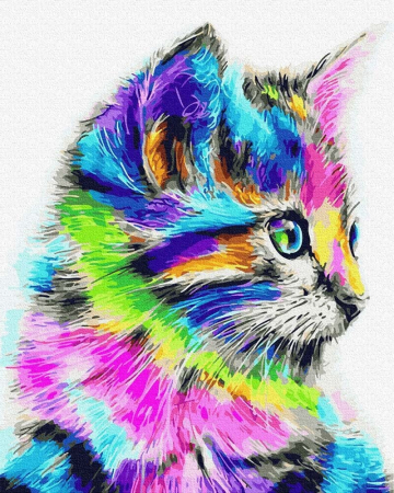 Pictura pe numere - Pictura pe numere – Pisicuta multicolora, 40 x 50 cm