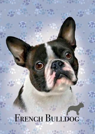 Puzzle cu 100 de piese in mini cutie tip cub - Buldog francez [1]