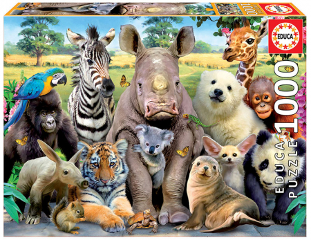 Puzzle-uri cu 500-2000 piese - Puzzle cu 1000 de piese - Este o fotografie de clasa