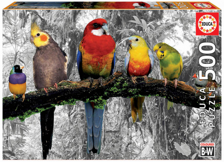 Puzzle-uri cu 500-2000 piese - Puzzle cu 500 de piese - Pasari in jungla