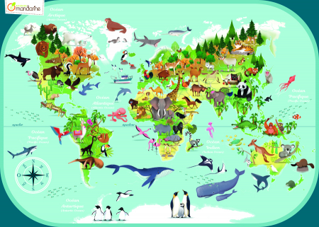 Puzzle - Harta lumii [1]