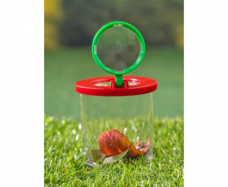 Recipient cu 2 lupe pentru insecte [3]