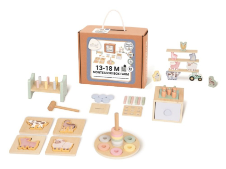 Jocuri STEM - Set 5 jocuri educative tip Montessori, 13 - 18 luni