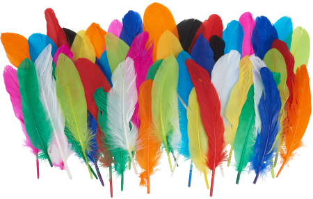 Art&Craft - Set 50 de pene naturale intens colorate