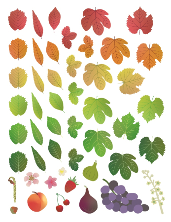 Jocuri si jucarii educative - Set 576 stickere reutilizabile - Cele 4 anotimpuri