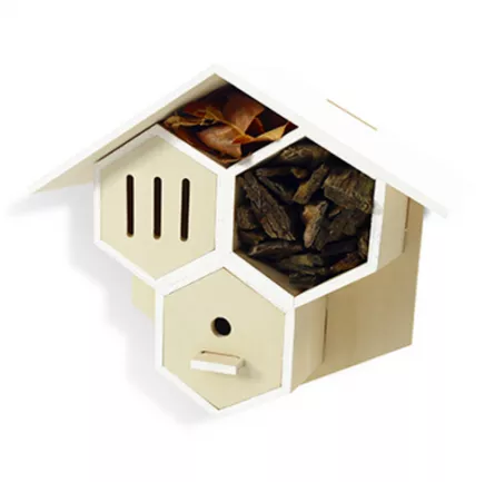 Seturi de creatie - Set creativ - Casa insectelor