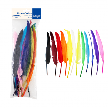 Art&Craft - Set de 12 pene decorative colorate