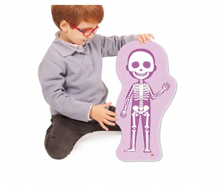 Set de 3 puzzle-uri cu doua fete - Corpul uman [0]