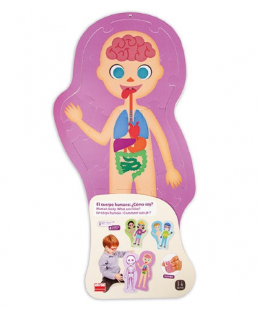 Set de 3 puzzle-uri cu doua fete - Corpul uman [2]