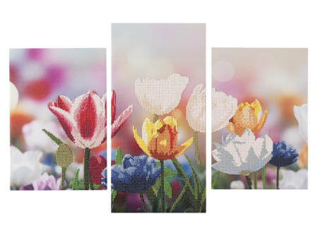 Art&Craft - Set de 3 tablouri cu diamante - Lalele