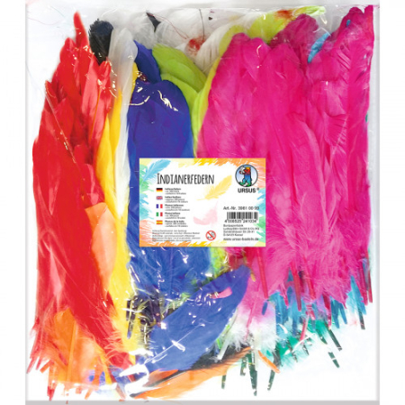 Art&Craft - Set de 300 de pene naturale intens colorate