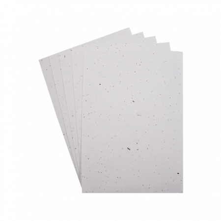 Art&Craft - Set de 5 foi de hartie plantabila cu seminte - 21 x 30 cm