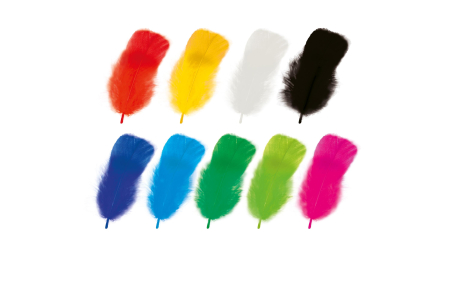 Art&Craft - Set de pene naturale colorate