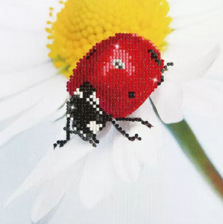 Tablou cu diamante - Buburuza pe margareta [0]