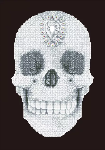 Tablouri diamonds - Tablou cu diamante - Craniu de cristal