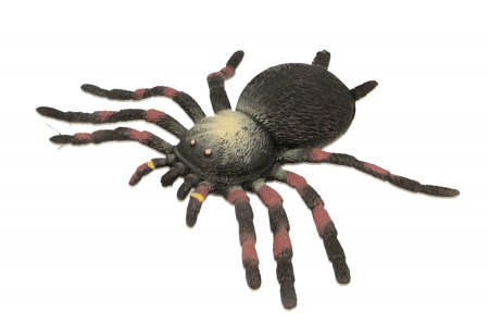 Figurine - Tarantula flexibila