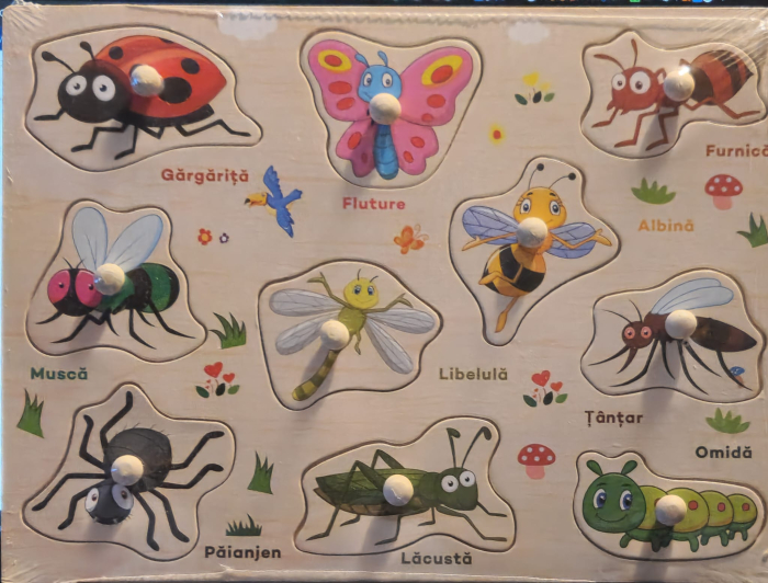 Puzzle din Lemn Incastru cu Maner – Insecte in Limba Romana [1]