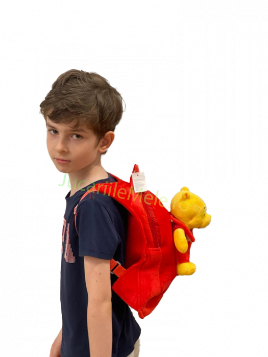 Rucsac din plus de tip ghiozdanel pentru copii Rosu Winnie the Pooh [3]