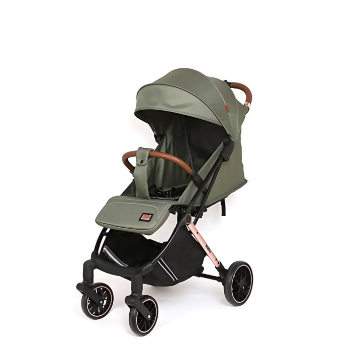 Carucior 2 in 1 Sport, Pliere tip Troller, cu Pozitie de Somn si Spatar Reglabil - Verde [1]