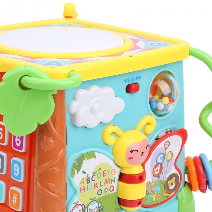 Cub Interactiv pentru Bebelusi 5 in 1 [4]