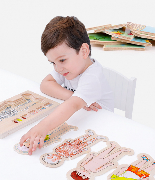 Puzzle din lemn anatomia corpului uman - fetita [2]