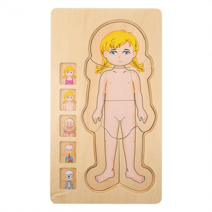 Puzzle din lemn anatomia corpului uman - fetita [4]
