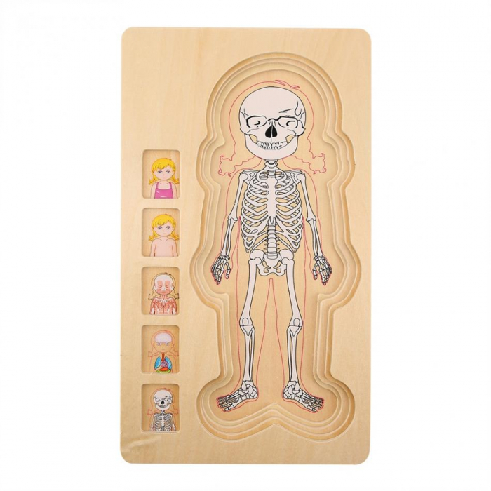 Puzzle din lemn anatomia corpului uman - fetita [7]