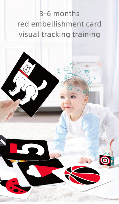 Carduri educative de stimulare vizuală diverse modele 0 luni- 3 ani [3]