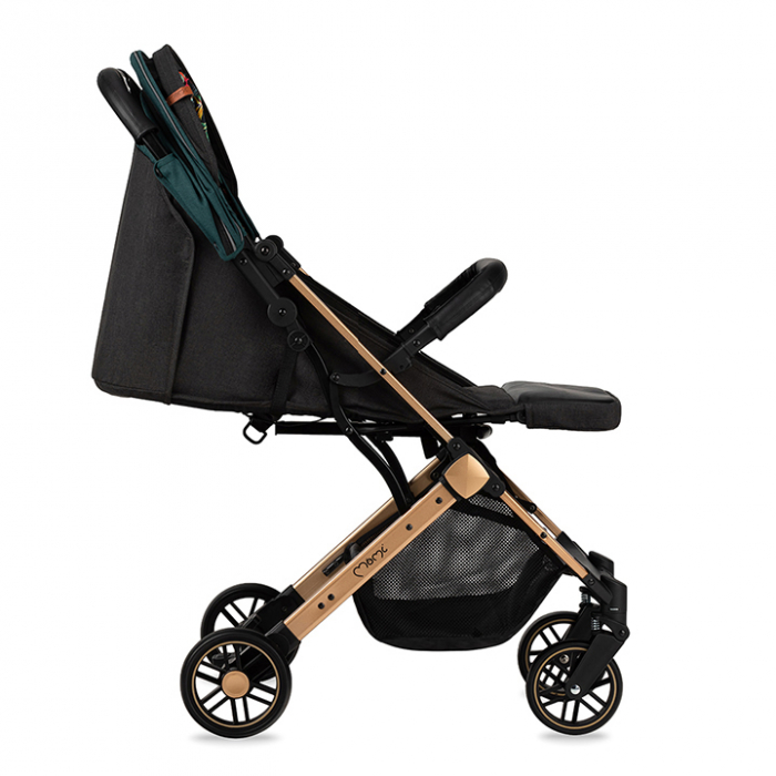 Carucior sport Estelle, Momi, Gold Green [3]