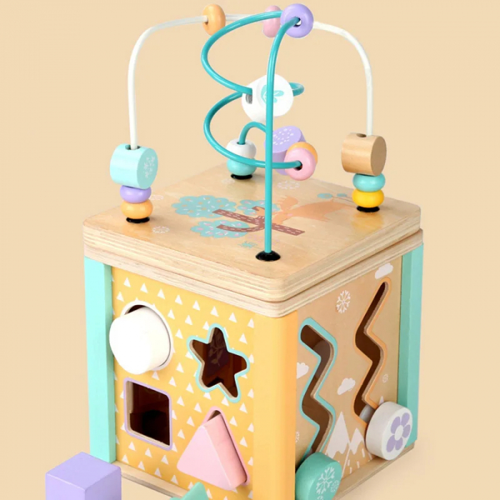 Cub Montessori din Lemn cu 5 Activitati Educative, Culori Pastel [11]