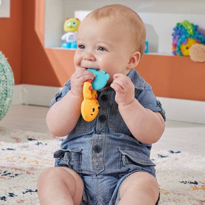 Fisher Price Jucarie Zornaitoare Vidra [4]