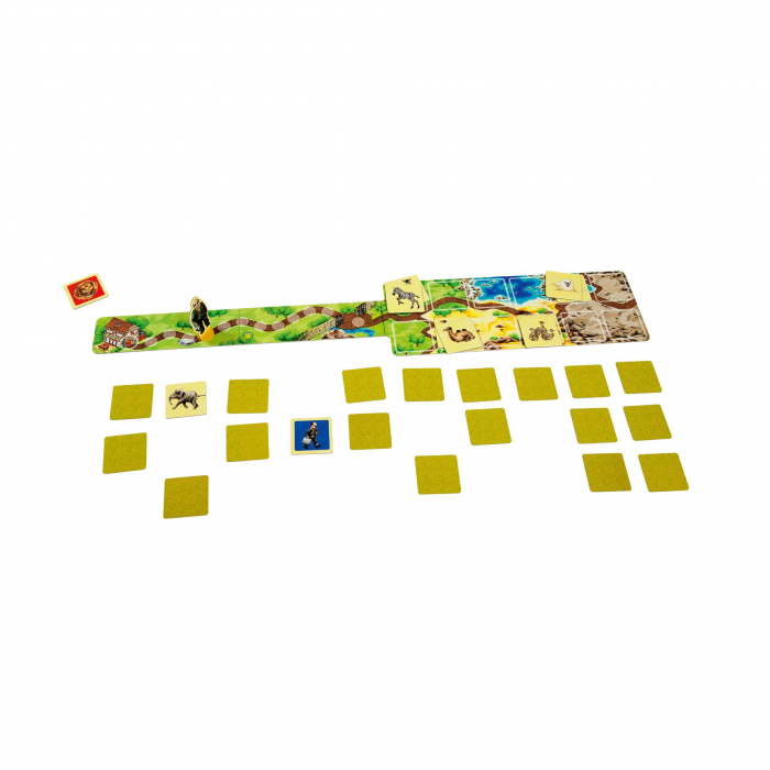 Joc cooperativ de memorie - Gradina Zoo (ZooMemo) [2]