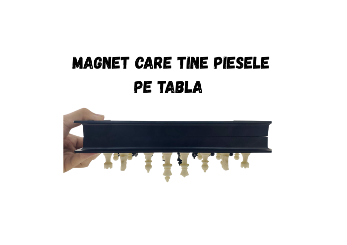 Joc de societate 3 in 1 magnetic – Sah, Table si Dame, Tabla pliabila 32x32 cm [4]