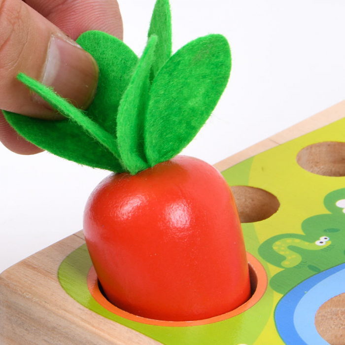 Joc Montessori 3in1 Pescuit Gradinarit Magnetic [3]