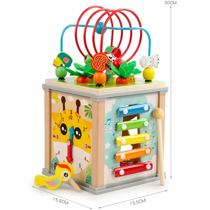Joc Motricitate din lemn 10 in 1 - Montessori [6]