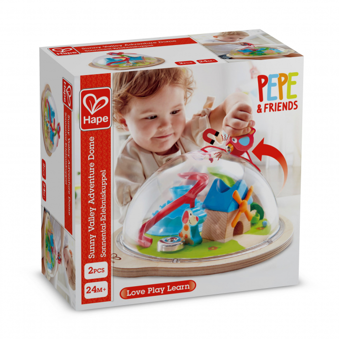 Jucarie din lemn - Labirint magnetic 3D [4]