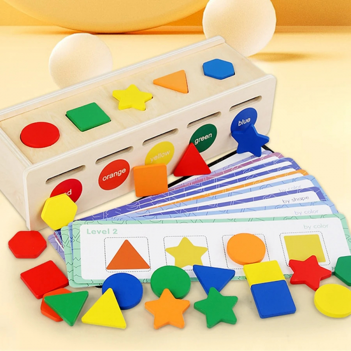 Jucarie Montessori din Lemn, Sortator de Forme si Culori, 25 Piese [5]