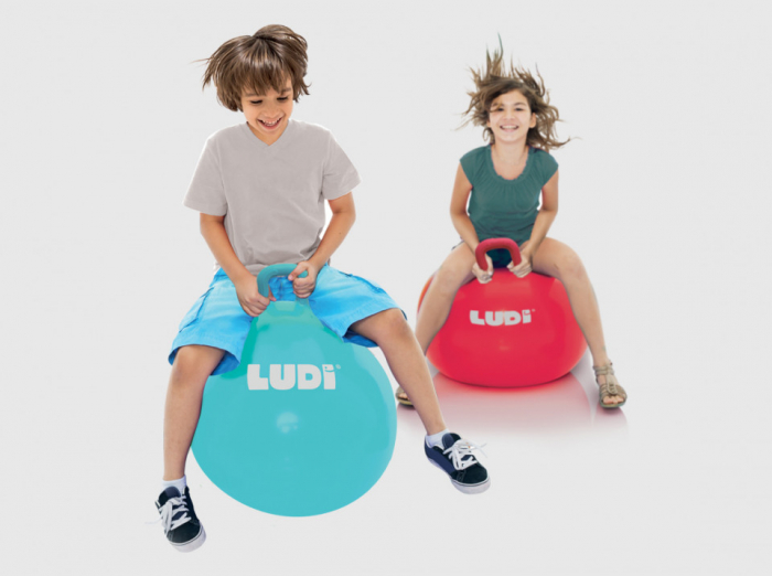 LUDI Minge saltareata BLUE 55 cm [6]