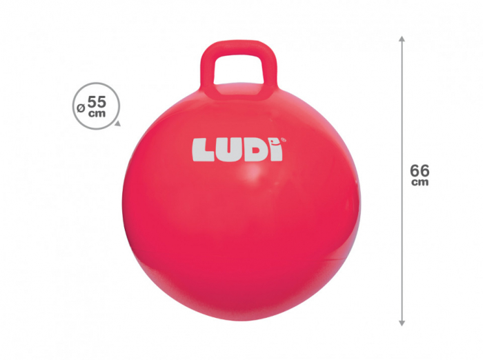 LUDI Minge saltareata RED 55 cm [5]
