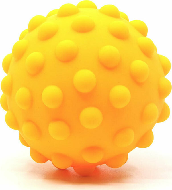 LUDI Set jucarii de baie [6]