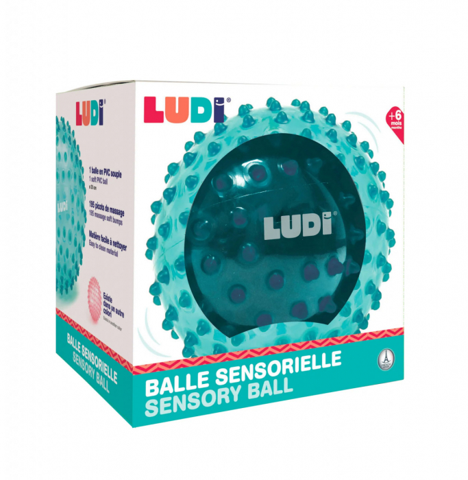 Minge senzoriala albastra Ludi [5]