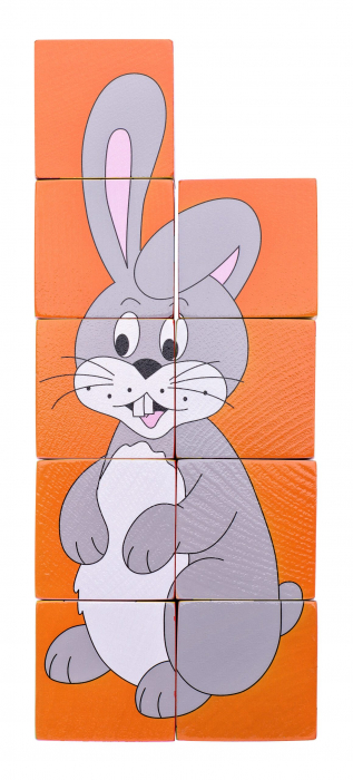 Puzzle din lemn cuburi - Animale colorate [5]