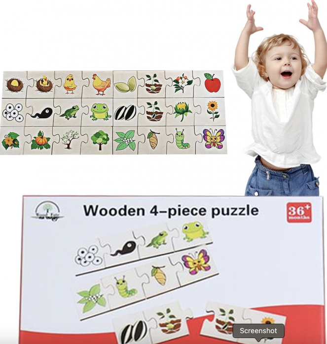 Puzzle din Lemn din 4 Piese, Invatam despre evolutie [1]
