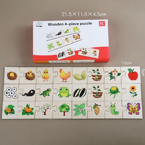 Puzzle din Lemn din 4 Piese, Invatam despre evolutie [2]