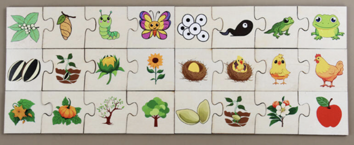Puzzle din Lemn din 4 Piese, Invatam despre evolutie [3]