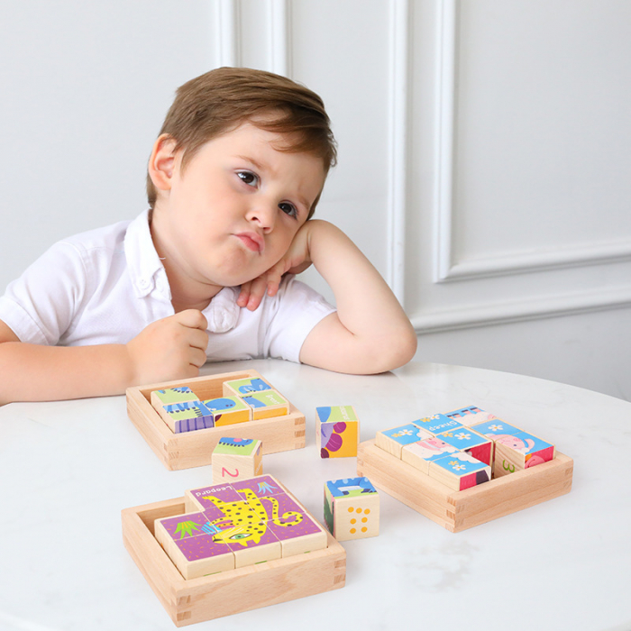 Puzzle din lemn Montessori cu 8 cuburi, diverse modele [2]