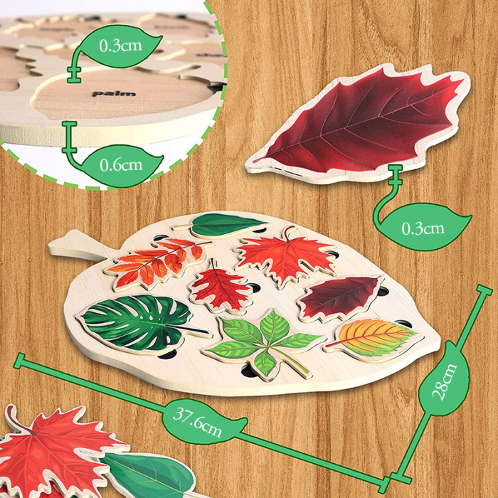 Puzzle din Lemn Montessori cu recunoasterea frunzelor [4]